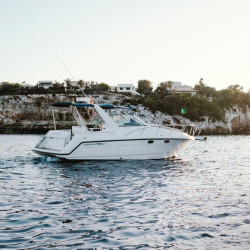 Chaparral Signature Mallorca 5