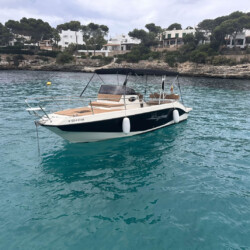 Barca a motore Trimarchi Marge 23 Maiorca 3