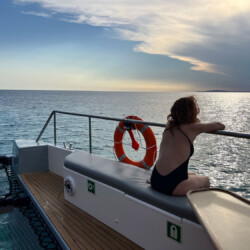 Catamarán CAT 60 Oasis Premium Mallorca 8