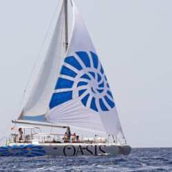 Катамаран Oasis Lux CAT 50 Mallorca 13