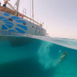 Катамаран Oasis Lux CAT 50 Mallorca 5