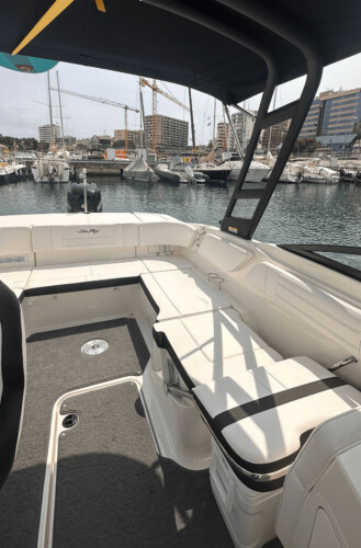 Motorboot Sea Ray 210 SPX Martiny Mallorca 11