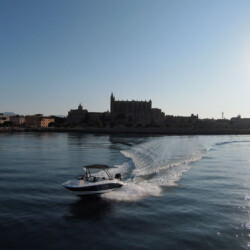 Motorboot Sea Ray 210 SPX Martiny Mallorca 14