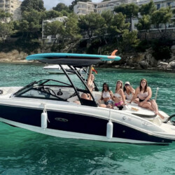 Motorboot Sea Ray 210 SPX Martiny Mallorca 16