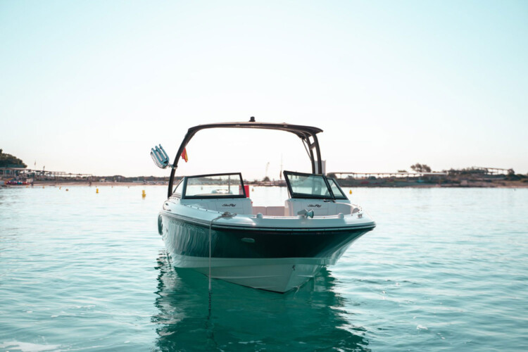 Motorboot Sea Ray 210 SPX Martiny Mallorca 2