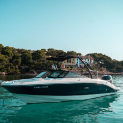 Motorboot Sea Ray 210 SPX Martiny Mallorca 3