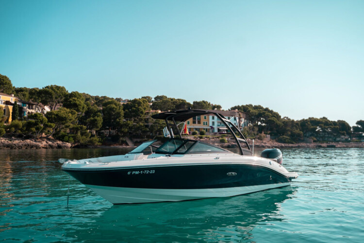 Motorboot Sea Ray 210 SPX Martiny Mallorca 3