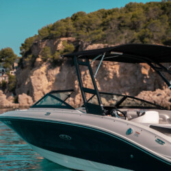 Motorboot Sea Ray 210 SPX Martiny Mallorca 4