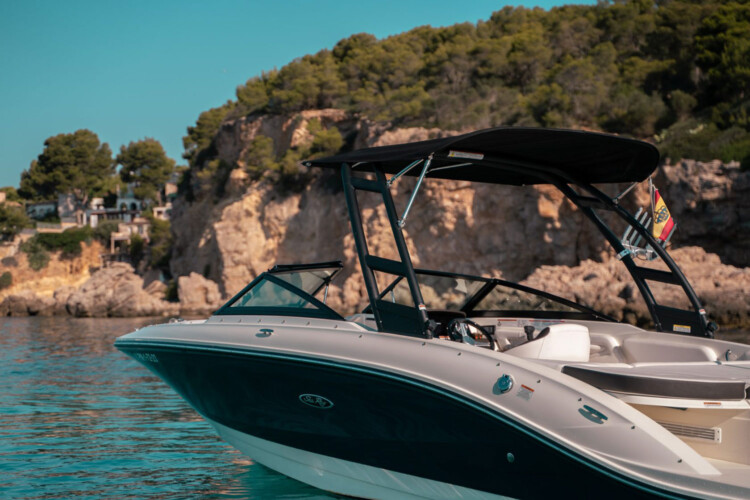 Motorboot Sea Ray 210 SPX Martiny Mallorca 4