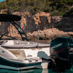 Motorboot Sea Ray 210 SPX Martiny Mallorca 5