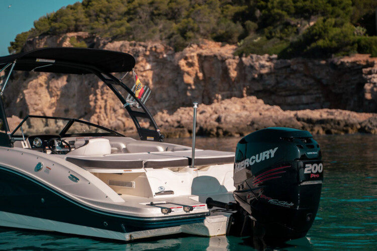 Motorboot Sea Ray 210 SPX Martiny Mallorca 5