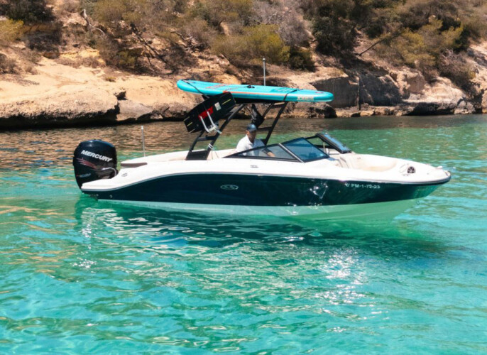 Motorboot Sea Ray 210 SPX Martiny Mallorca 9