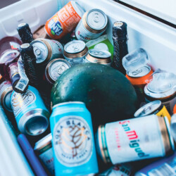 Llaut Myabca Llaut 37TR Zatara Mallorca 36