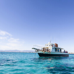 Motorboat Superman Mallorca 1