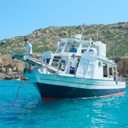 Motorboat Superman Mallorca 15