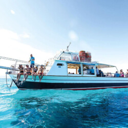 Motorboat Superman Mallorca 8