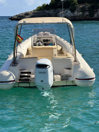 Motorboat Tarpon 790 Luxe Cala dOr 1