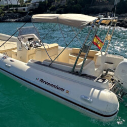 Motorboat Tarpon 790 Luxe Cala dOr 2
