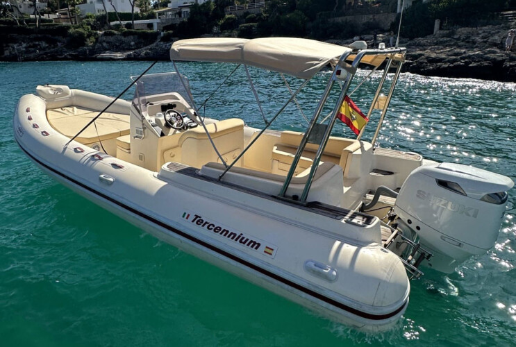 Motorboat Tarpon 790 Luxe Cala dOr 2