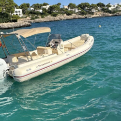 Motorboat Tarpon 790 Luxe Cala dOr 3