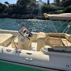 Motorboat Tarpon 790 Luxe Cala dOr 4