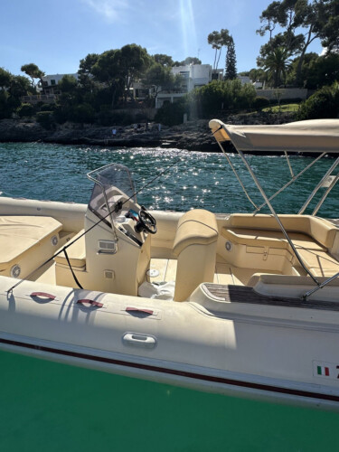 Motorboat Tarpon 790 Luxe Cala dOr 4