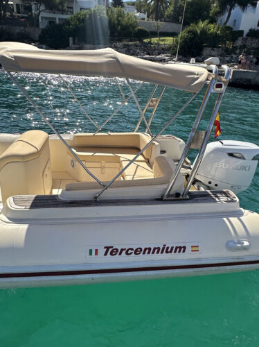 Motorboat Tarpon 790 Luxe Cala dOr 5