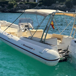 Motorboat Tarpon 790 Luxe Cala dOr 6