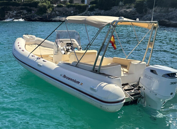 Motorboat Tarpon 790 Luxe Cala dOr 6