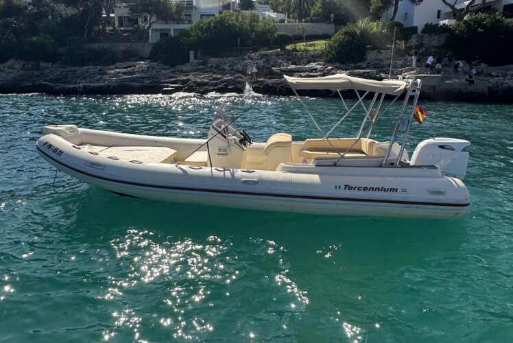 Motorboat Tarpon 790 Luxe Cala dOr 7