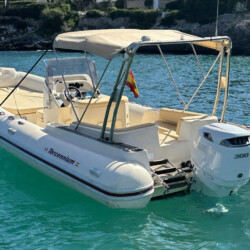 Motorboat Tarpon 790 Luxe Cala dOr 8