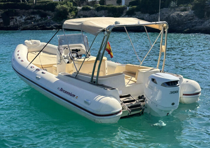 Motorboat Tarpon 790 Luxe Cala dOr 8