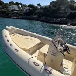 Motorboat Tarpon 790 Luxe Cala dOr 9