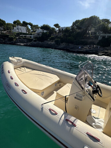 Motorboat Tarpon 790 Luxe Cala dOr 9