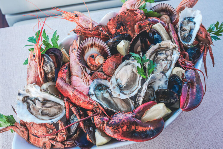 Yacht Galeon 420 PuraVida Majorque 21