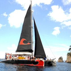 Catamaran CAT 59 Pollensa 6