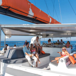 Catamaran CAT 79 Attraction Palma 1