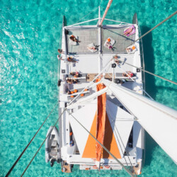 Catamaran CAT 79 Attraction Palma 10