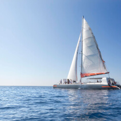 Catamaran CAT 79 Attraction Palma 12