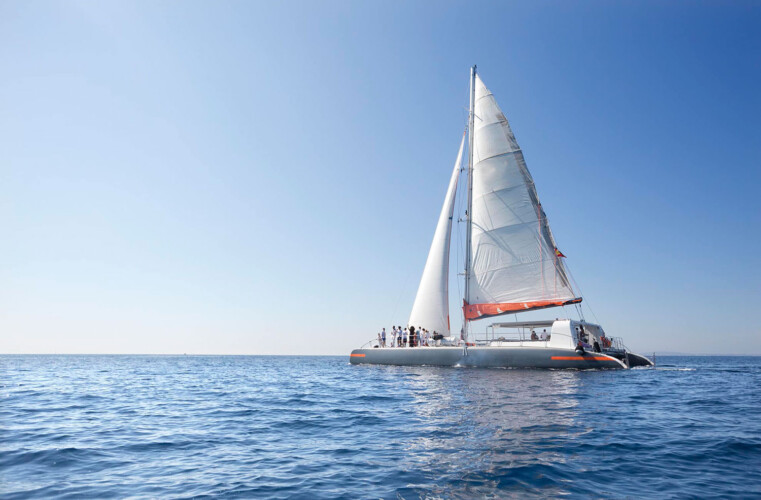 Catamaran CAT 79 Attraction Palma 12