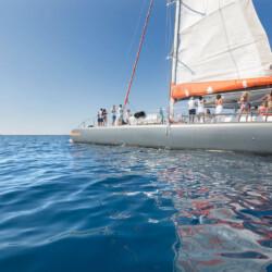 Catamaran CAT 79 Attraction Palma 13