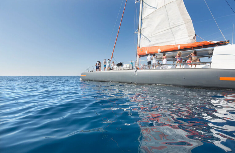 Catamaran CAT 79 Attraction Palma 13