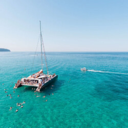 Catamaran CAT 79 Attraction Palma 14