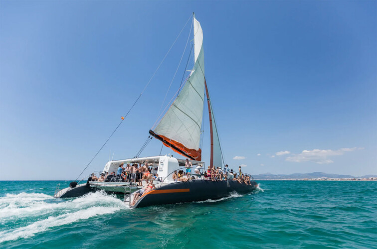 Catamaran CAT 79 Attraction Palma 15