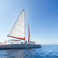 Catamaran CAT 79 Attraction Palma 18