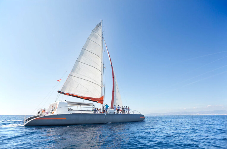 Catamaran CAT 79 Attraction Palma 18