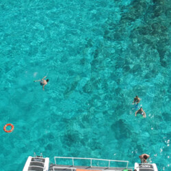 Catamaran CAT 79 Attraction Palma 19