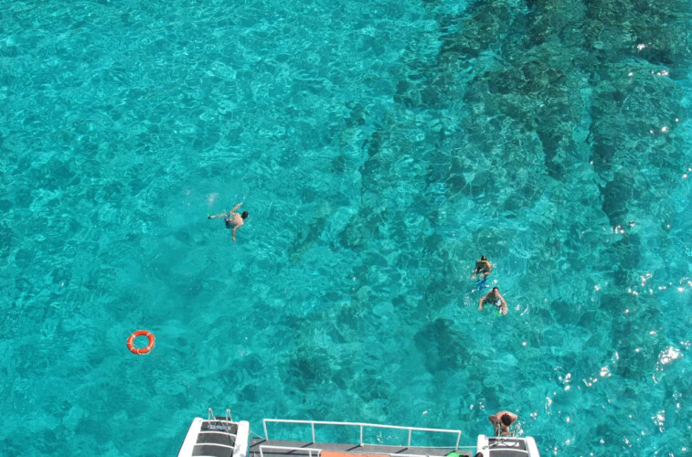 Catamaran CAT 79 Attraction Palma 19