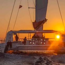 Catamaran CAT 79 Attraction Palma 29