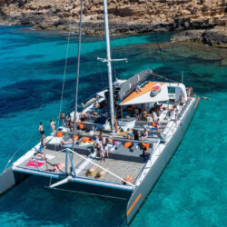Catamaran CAT 79 Attraction Palma 37
